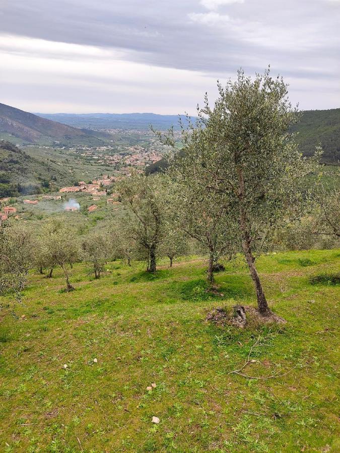Olive House Tuscany - Zona Pisa Calci Exterior photo