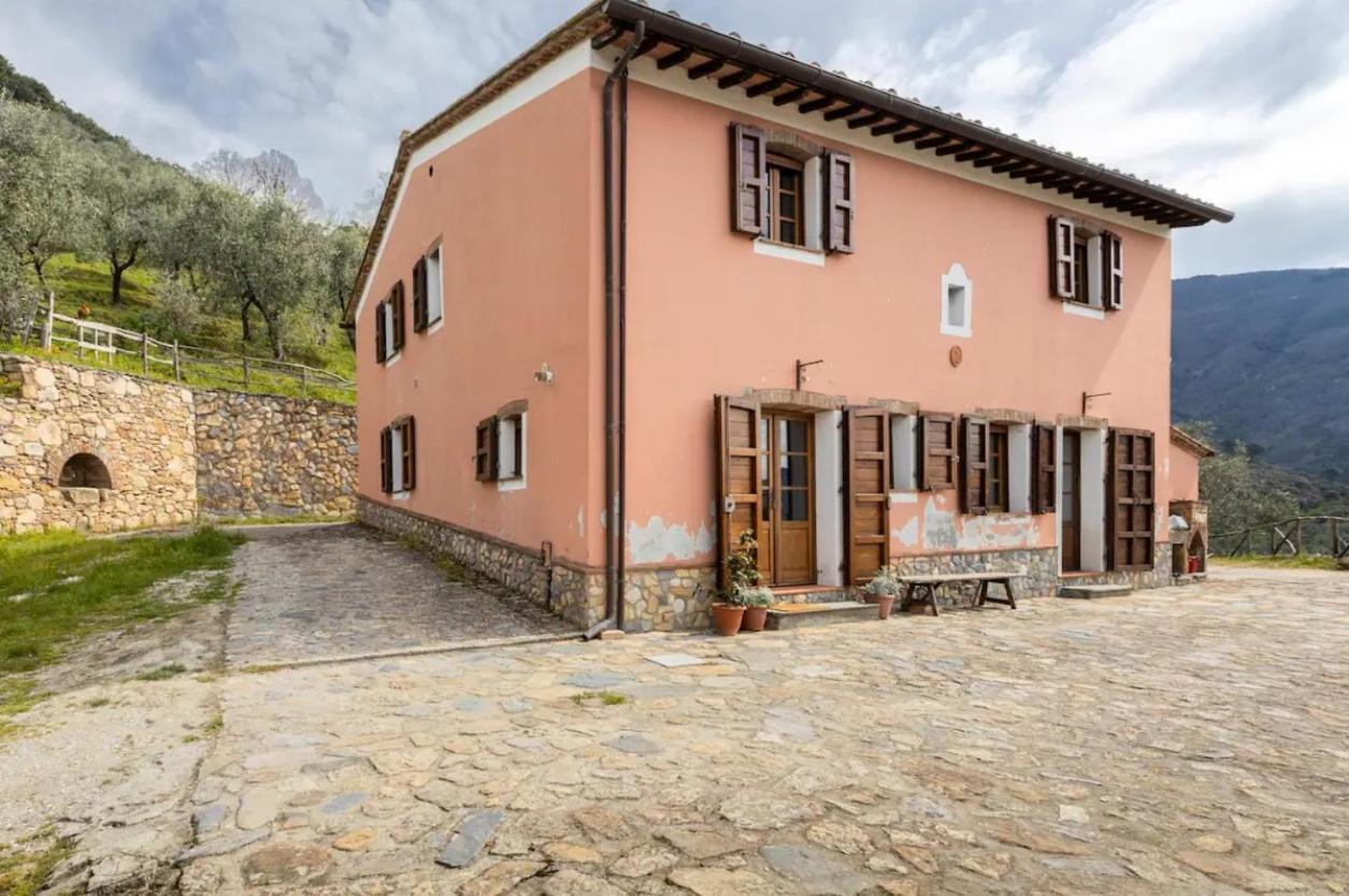 Olive House Tuscany - Zona Pisa Calci Exterior photo